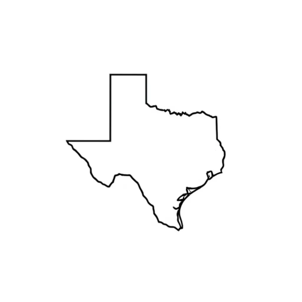 Minimalist Texas Outline Tattoo Design